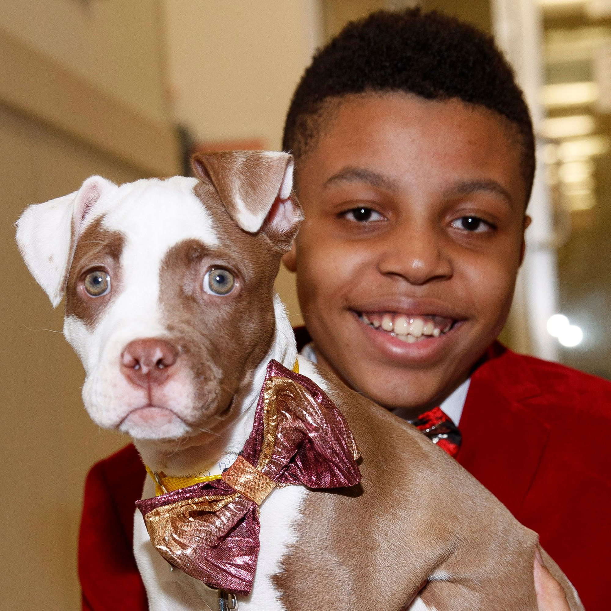 Bow Ties for Rescues